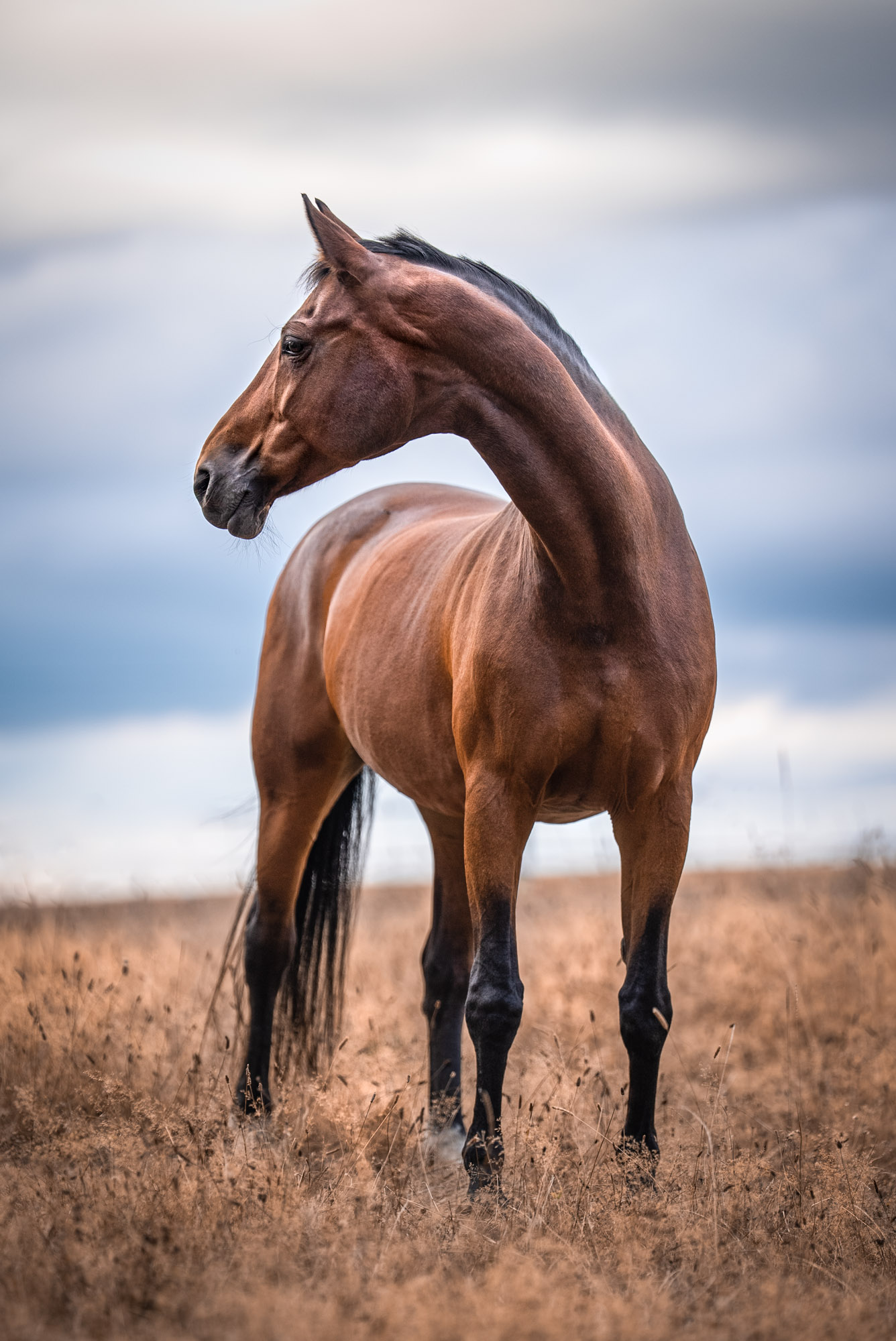 A7S00854-Edit