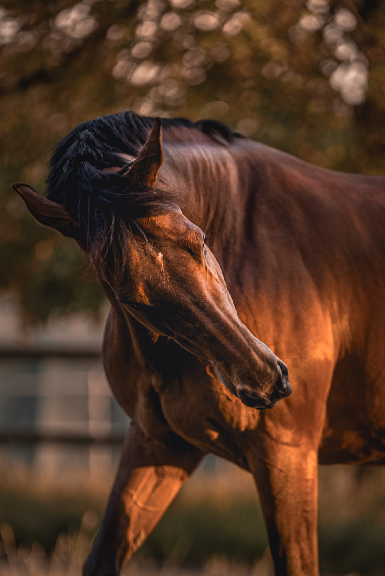 A7S04995-Bearbeitet