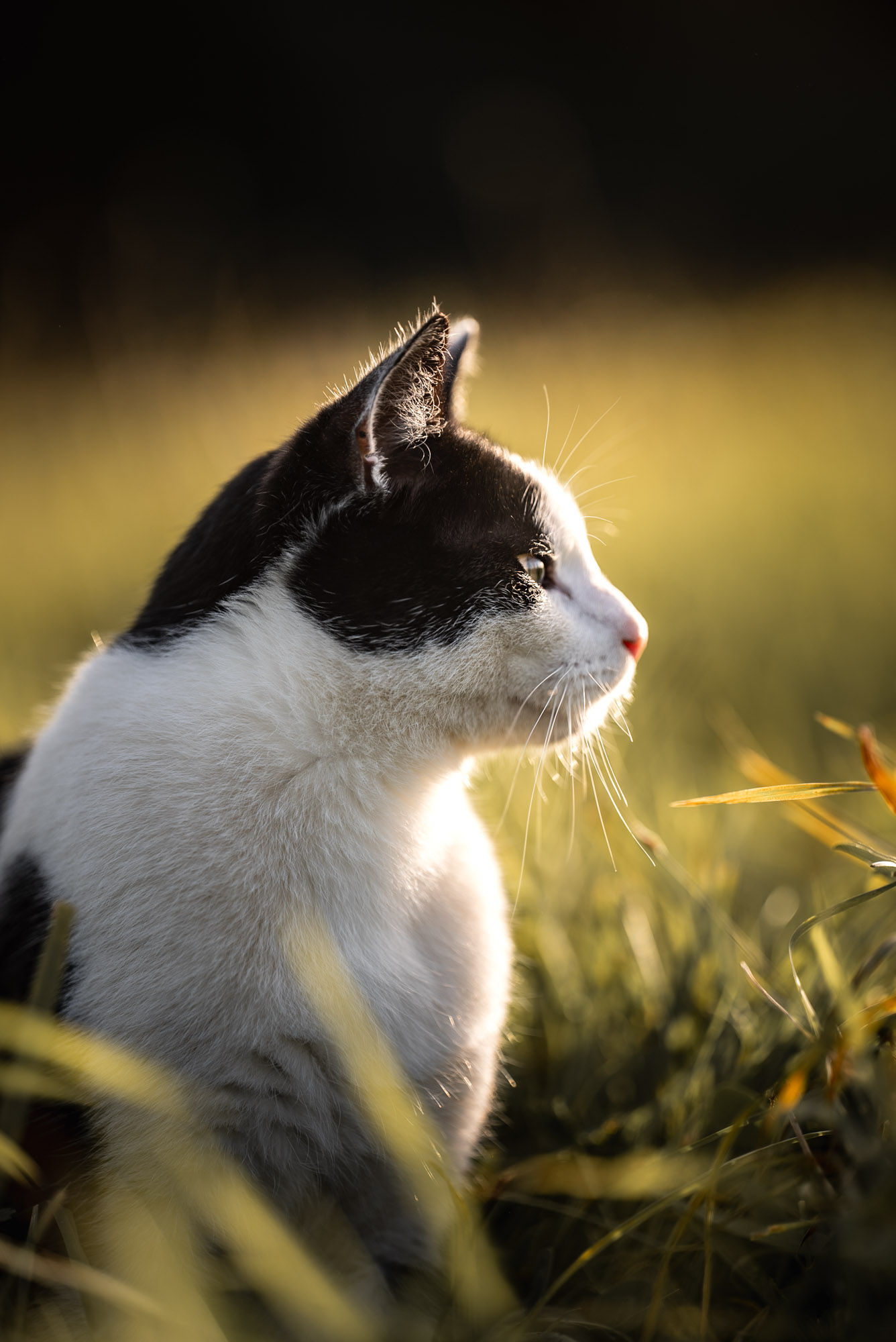 A7S05856
