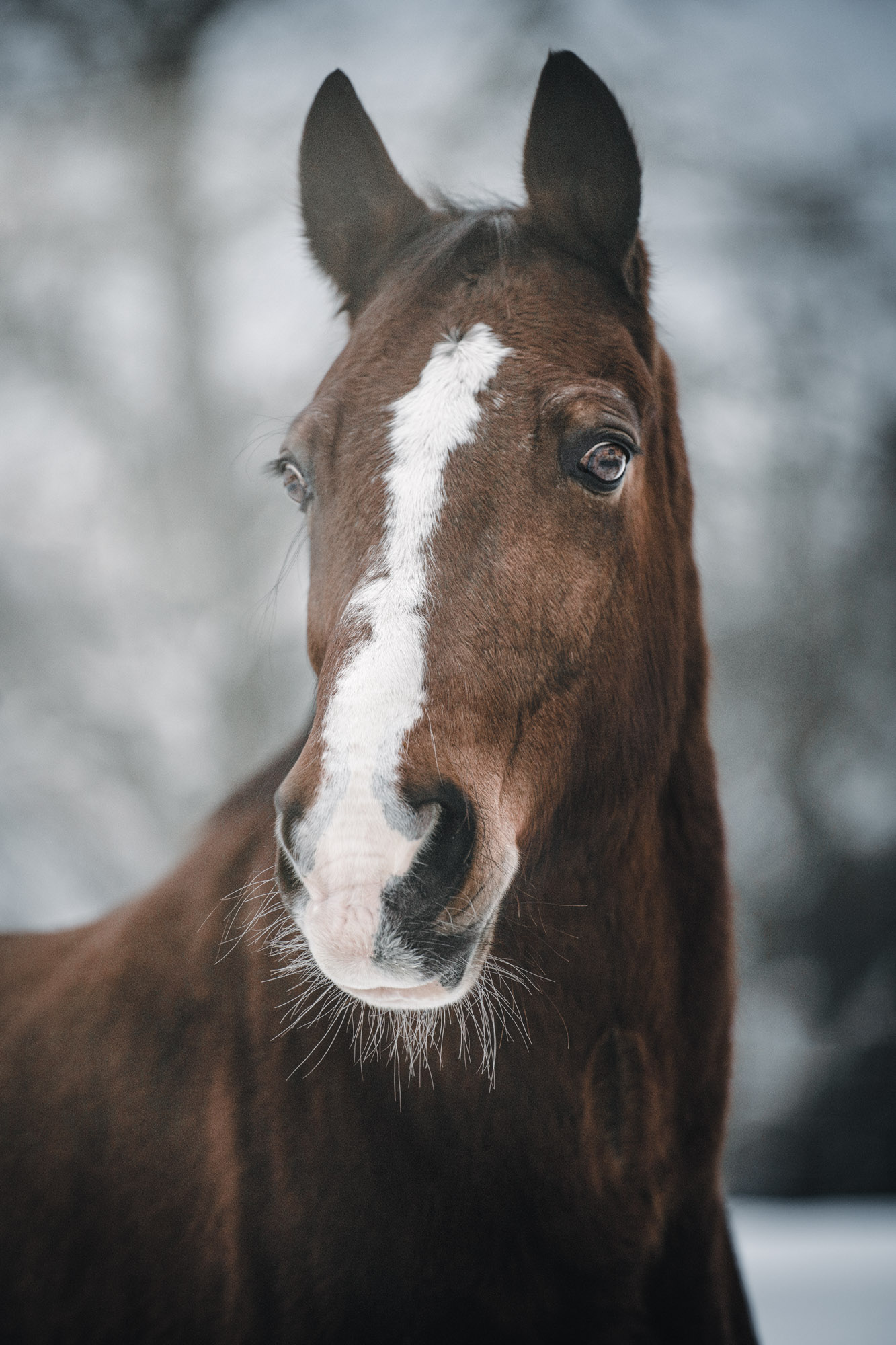 A7_00264-Bearbeitet