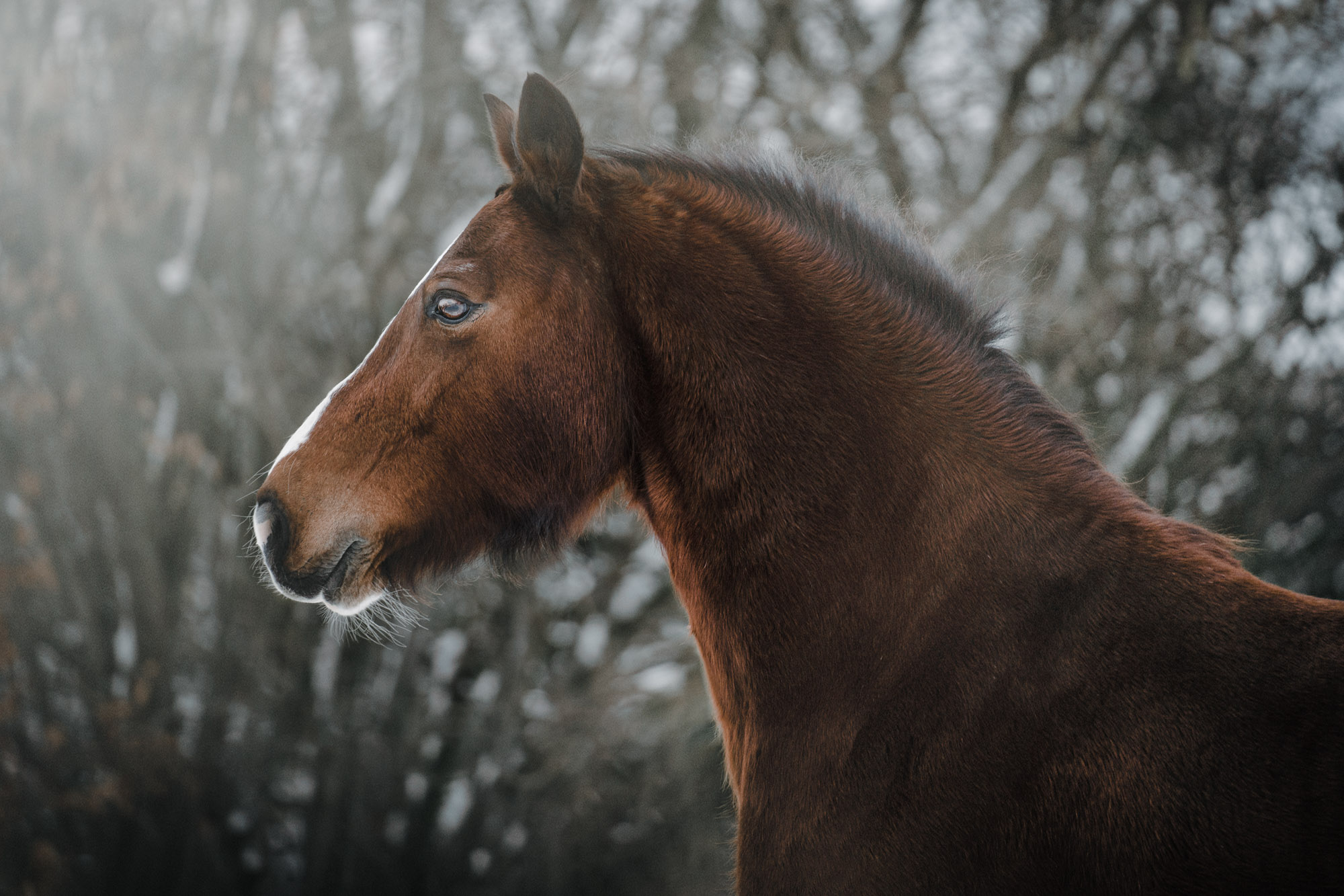 A7_00337-Bearbeitet