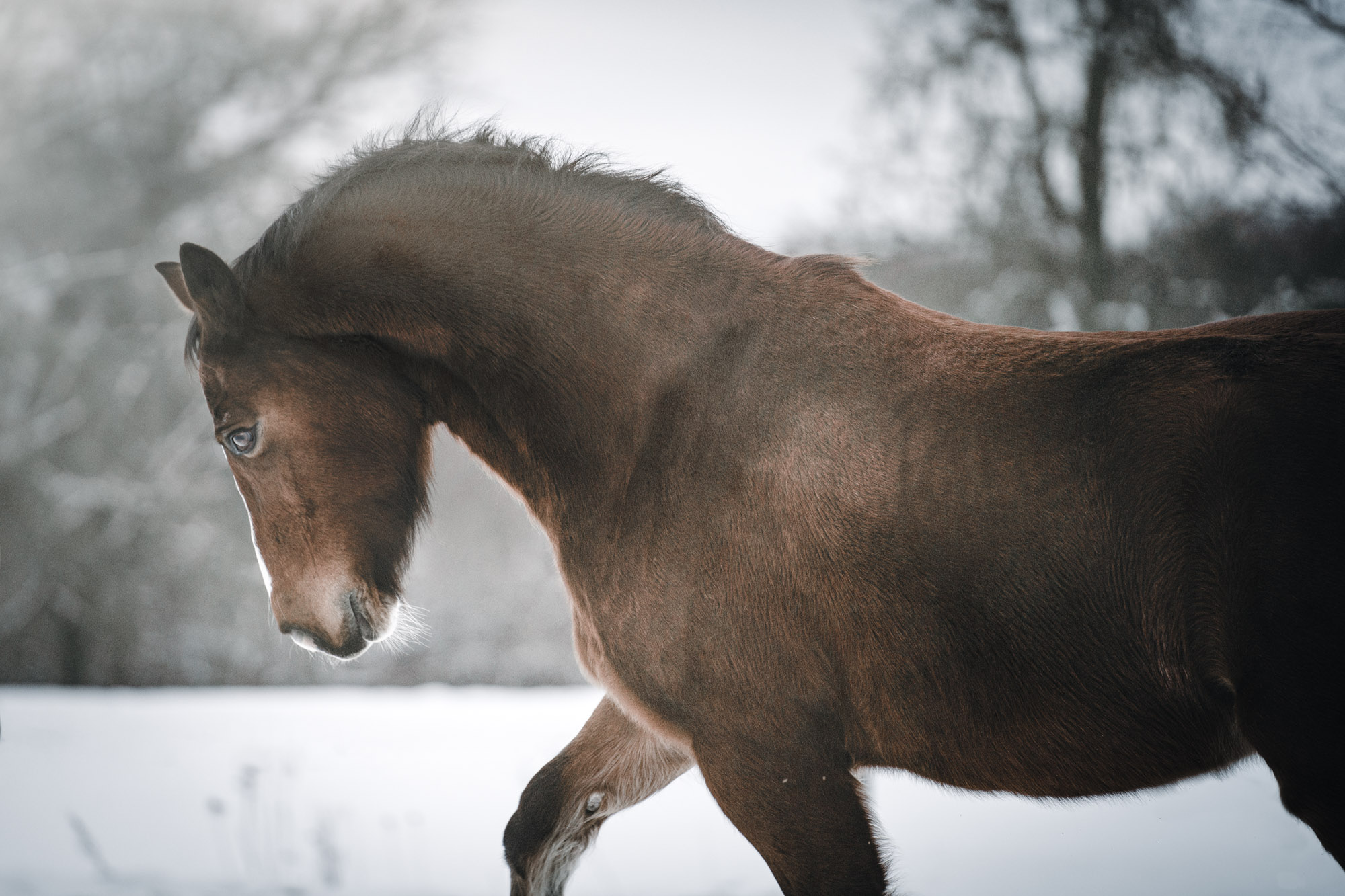 A7_00362-Bearbeitet
