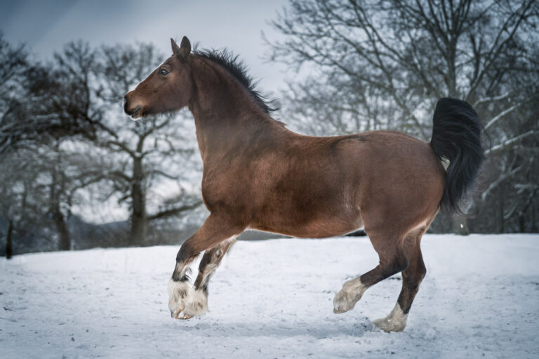 A7_00409-Bearbeitet