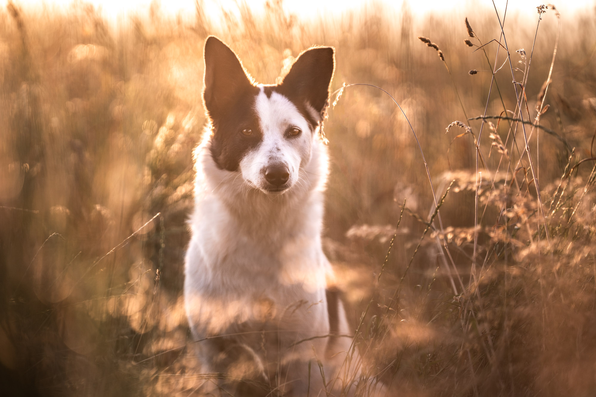 A7_03365-Bearbeitet