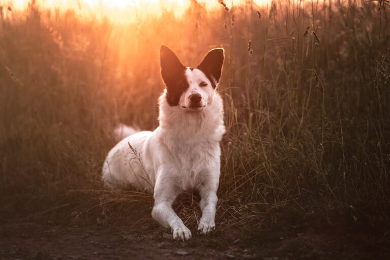 A7_03487-Bearbeitet