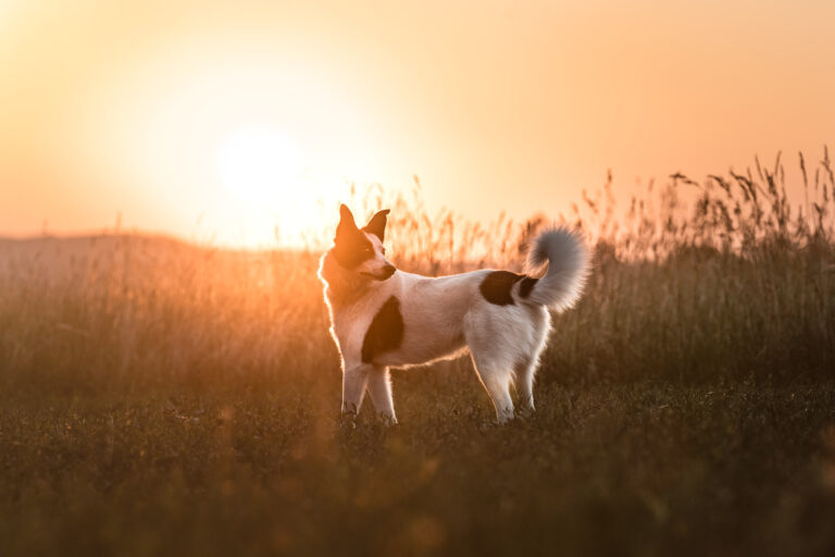 A7_03634-Bearbeitet