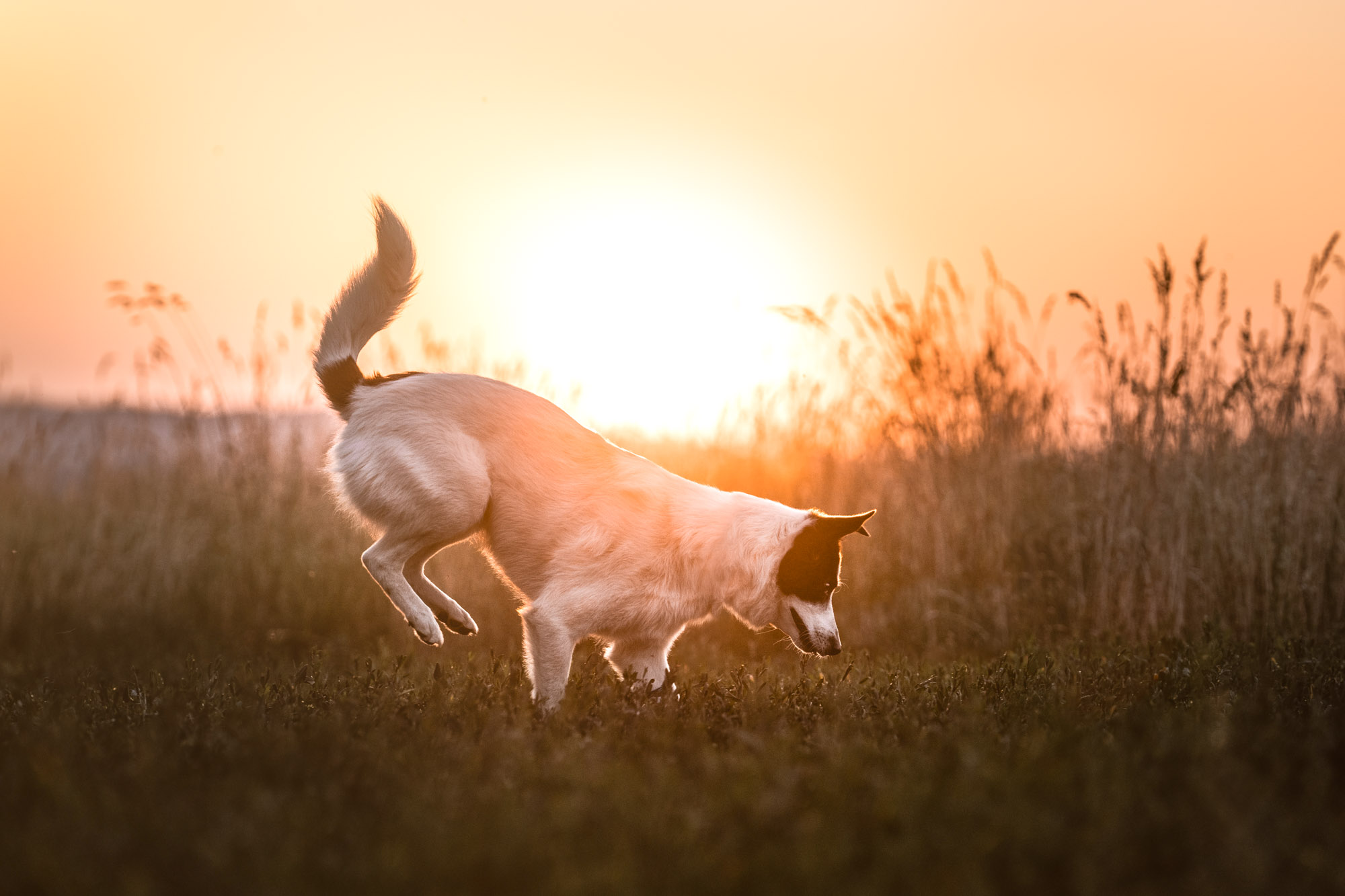 A7_03679-Bearbeitet