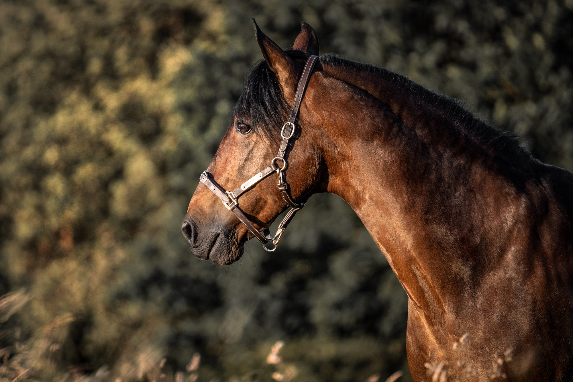 A7_04000-Edit-Edit