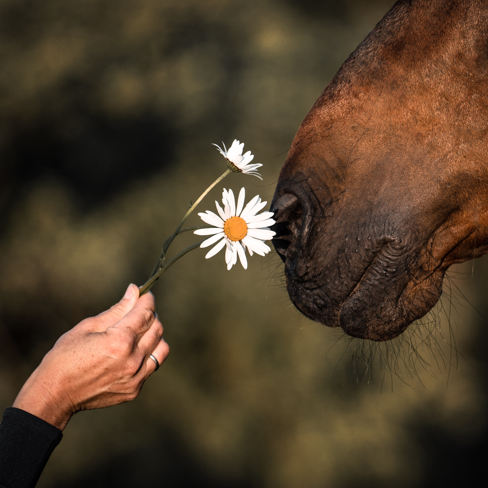 A7_04016-Edit-Edit-Edit