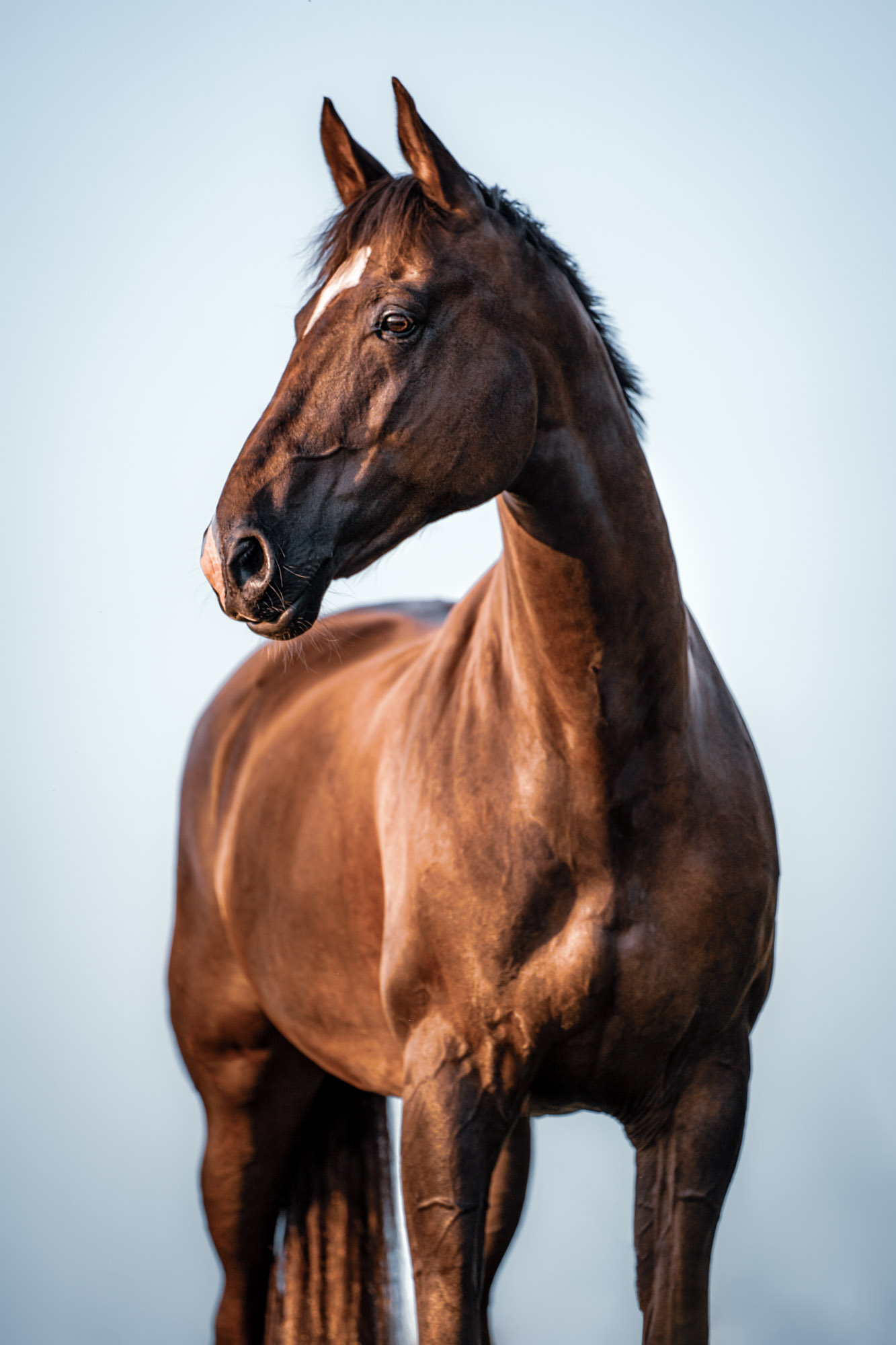 A7_05122-Edit – kühl-Edit