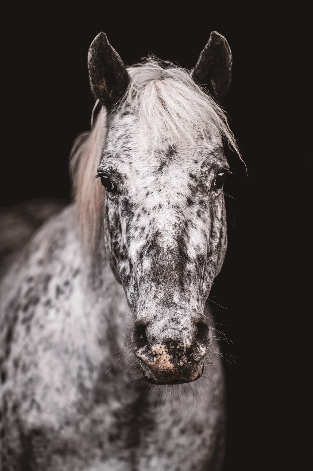 A7_07418-Edit-Bearbeitet