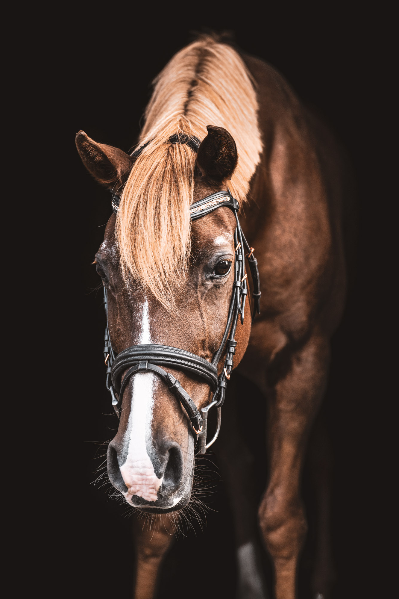 A7_07464-Edit-Edit