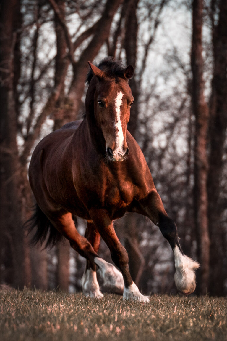A7_07659-Edit-Edit