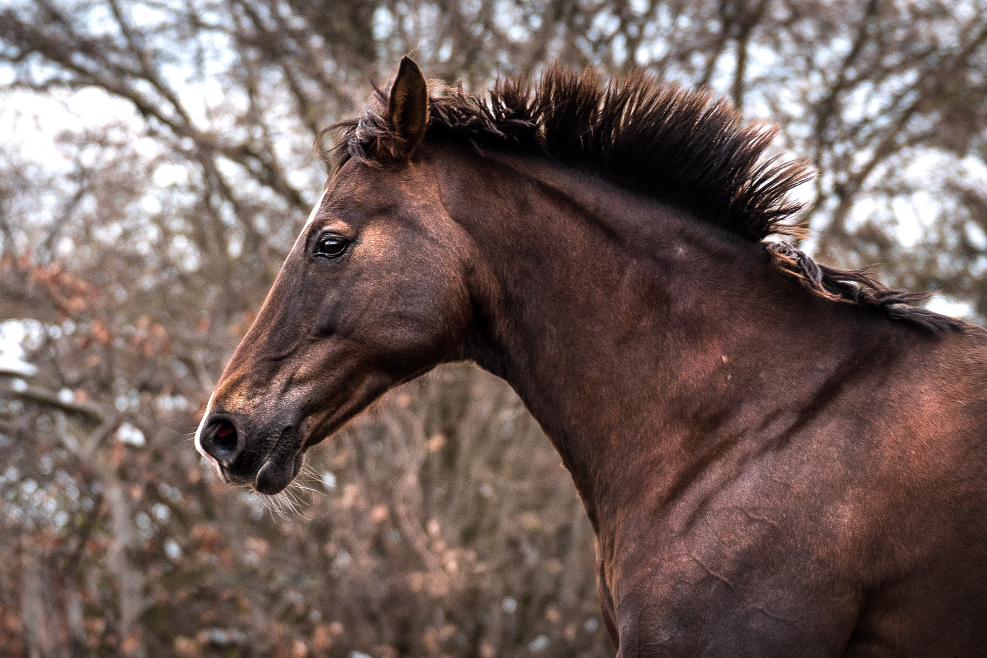 A7_08599-Edit