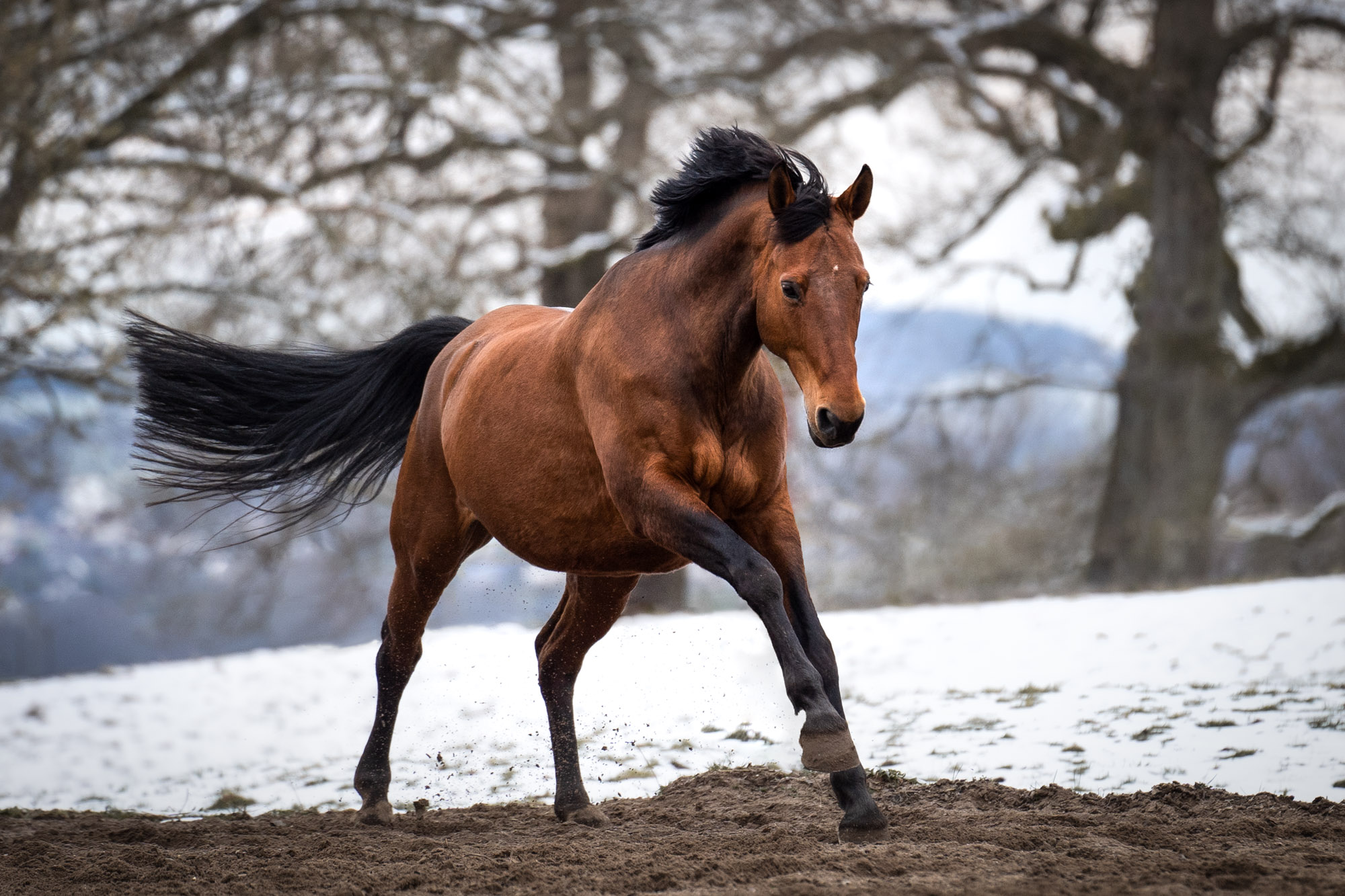 A7_08604-Edit-Edit-Edit