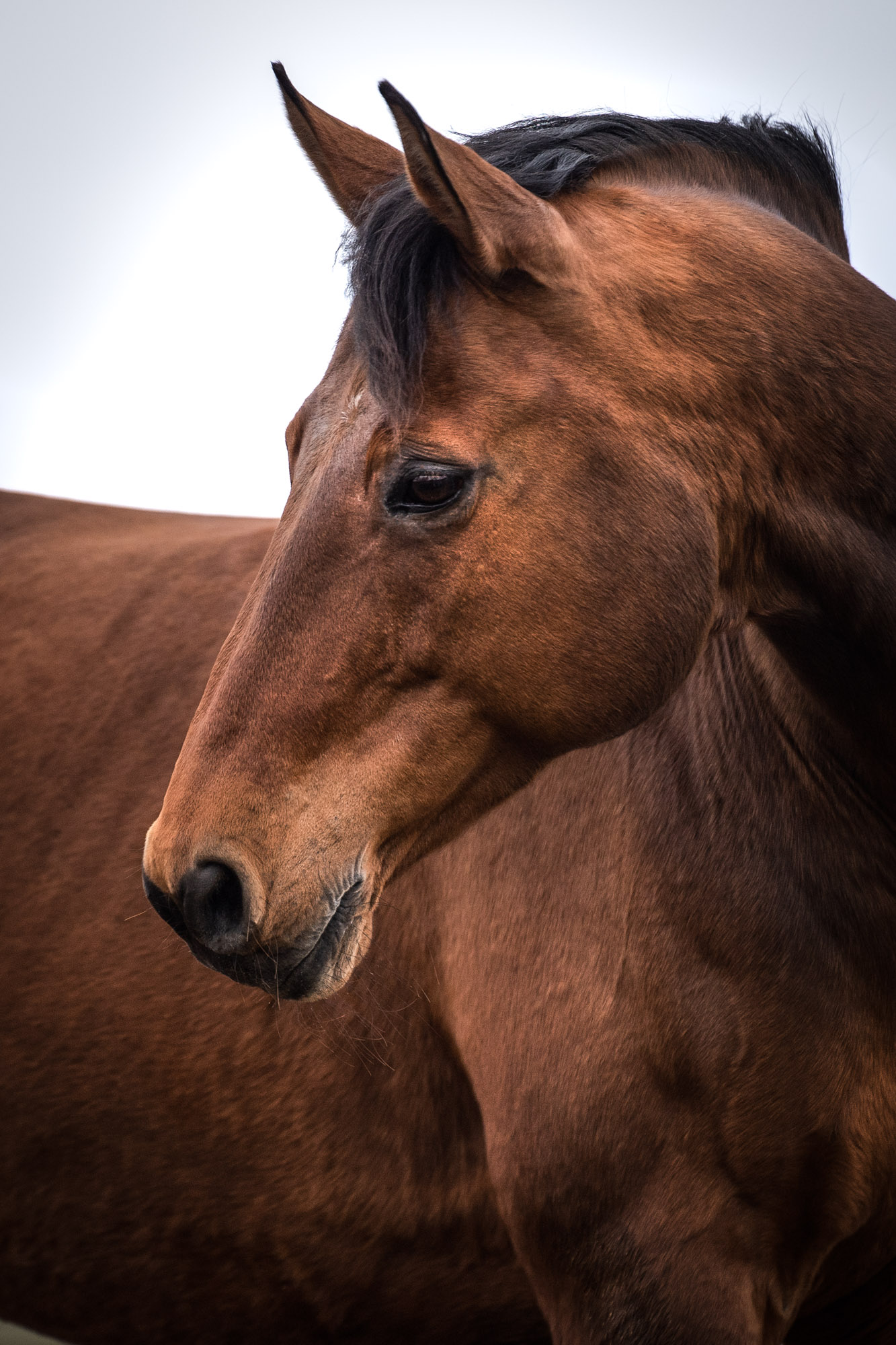 A7_08661-Edit