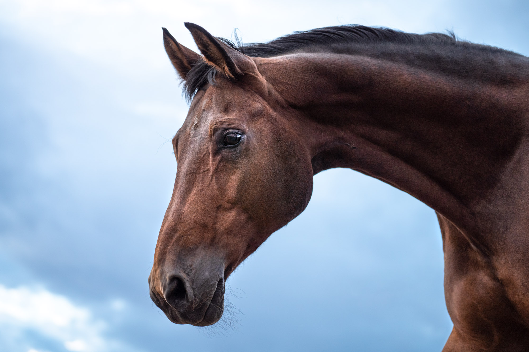 A7_08915-Edit